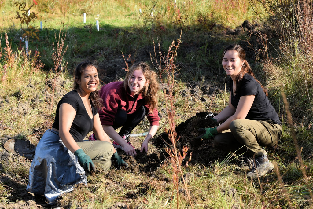 Planting Days at the Just Food Community Food Forest